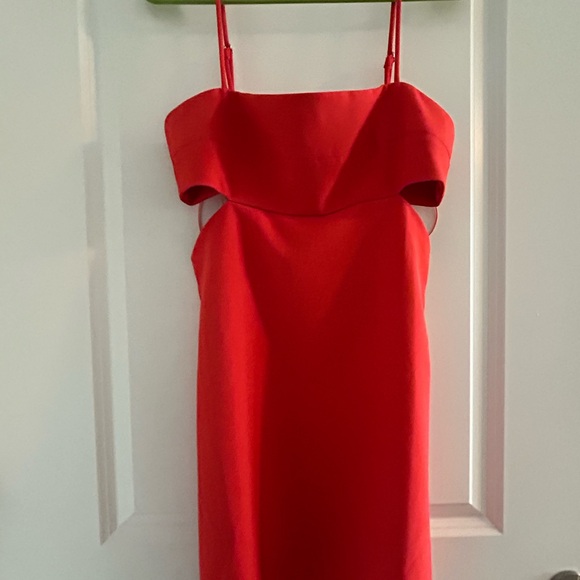STEVE MADDEN • Burnt/ Blood Orange Dress • Medium • - Picture 2 of 8